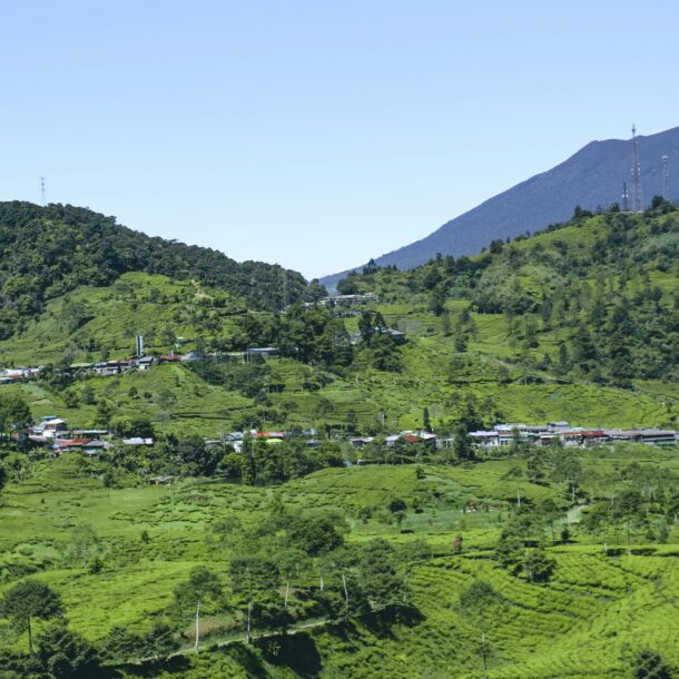 Villa di Puncak untuk keluarga besar Graha Tugu Resort