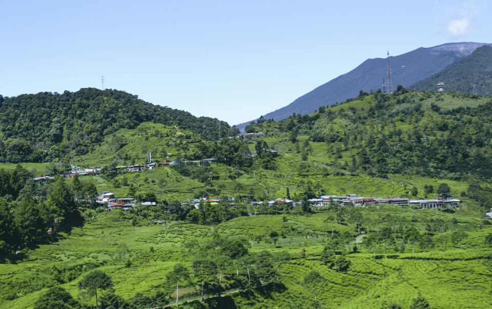 Villa di Puncak untuk keluarga besar Graha Tugu Resort