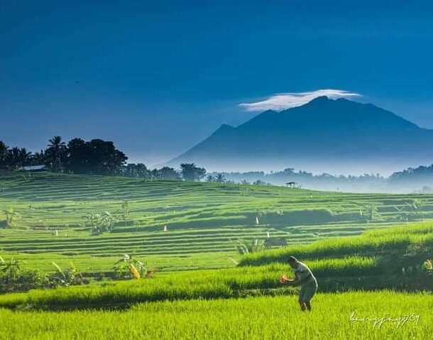 udara