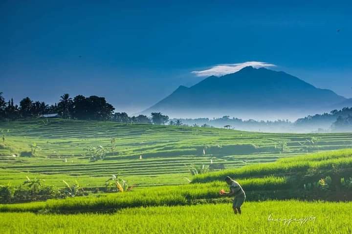 udara